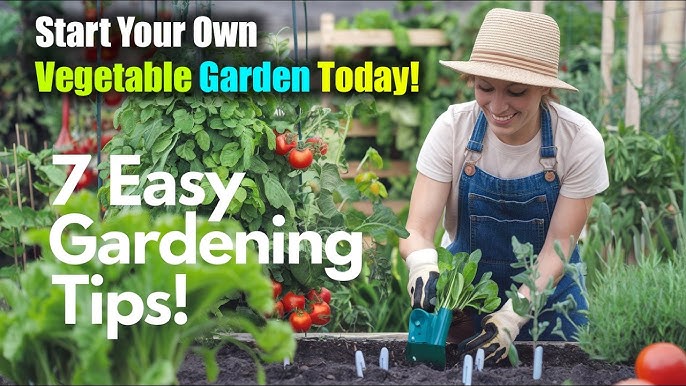 Easy Gardening Tips for Beginners