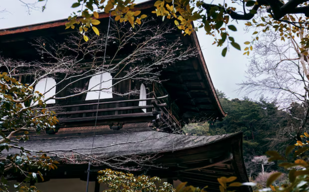 Effective Strategies for Scaling Your Professional Storm Damage Restoration Business