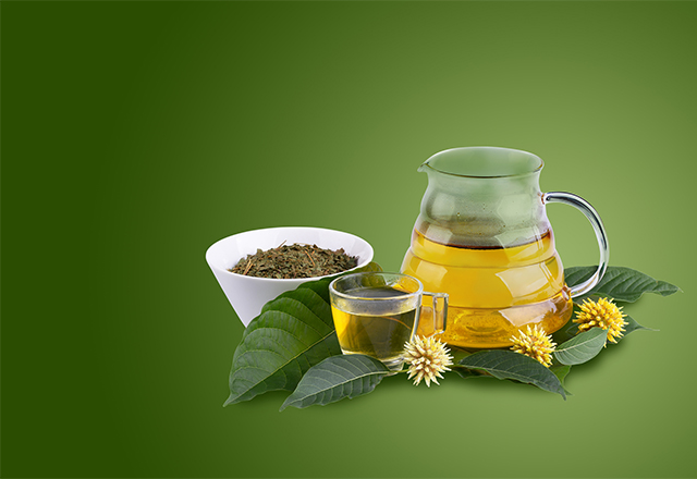 How to Compare Kratom Blends Online in Canada: Quality, Testing and Product Transparency